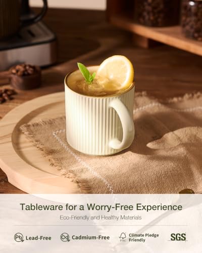 Coffee Mug Set of 6 (6.03 Count)