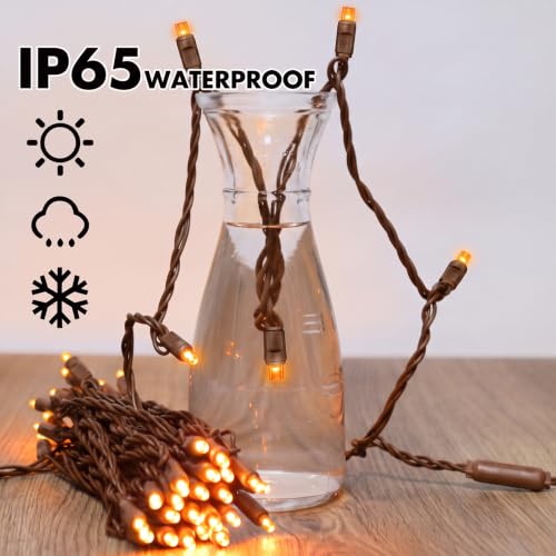 25FT Orange Halloween String Lights (50 Count)