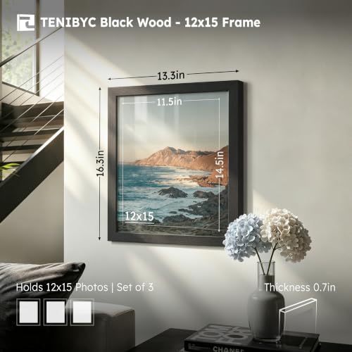 15x12 picture frame 3 Pack (3 Count)