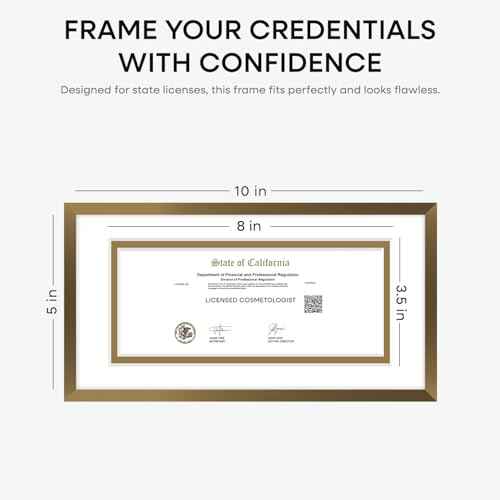 5x10 Bronze License Frame