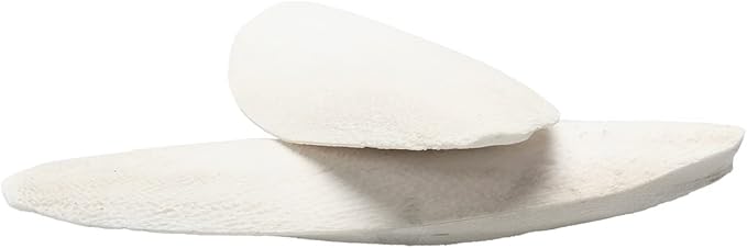 emours Natural Cuttlefish Bone for Reptiles, Tortoises, Tortoise, Snails, Birds and Small Animals (5.5-6 inch (Pack of 2))