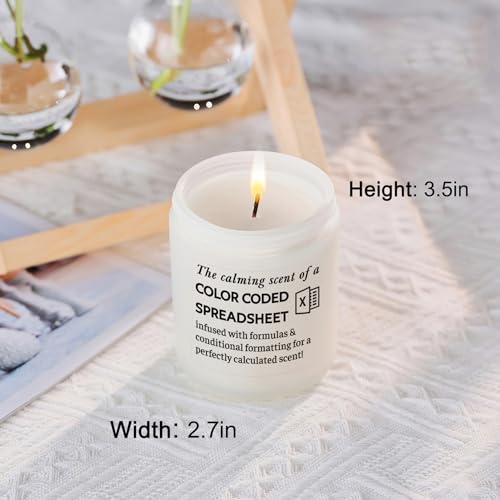 Funny Gift for Coworker Accountant (7 Ounce)