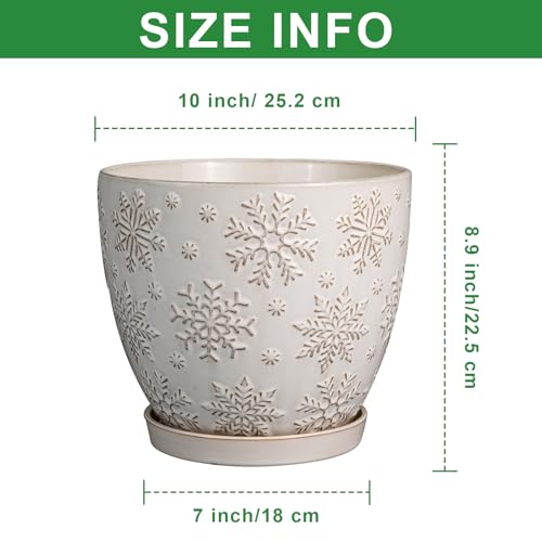 Ceramic Planter