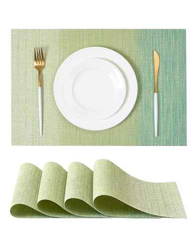 Gradient Green Woven Placemats Set of 4 (3.2 Count)