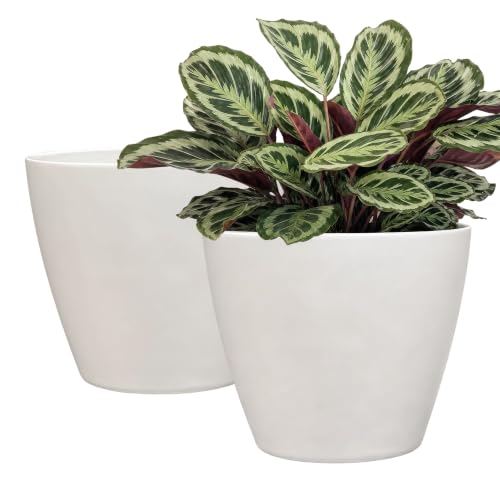 8" Vogue Planter in Stark White