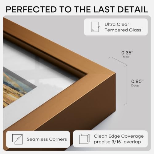 16x20 Bronze Picture Frame (2 Count)