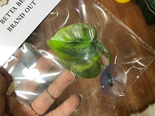 CousDUoBe 1 Pack Betta Fish Leaf Pad Improves Betta's Health by Simulating The Natural Habitat - Natural, Organic, Comfortable Rest Area for Fish Aquarium Ornaments
