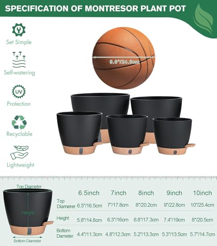 5 Pack Easy Plant Self Watering Pots for Indoor Plants (5 Count)