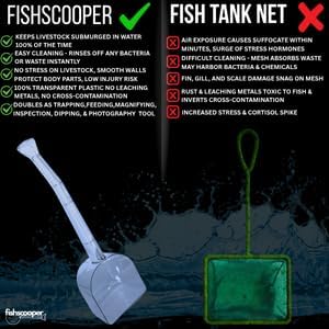 Fish Scooper, Acclimation Container, Fish Trap, Floating Fish Net, Axolotl Tank Accessories, Aquarium Cleaning Tools, Photography, Tool, Aquarium Accessories, Breeder Box