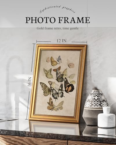 Gold Framed Vintage Multi Butterflies Wall Art