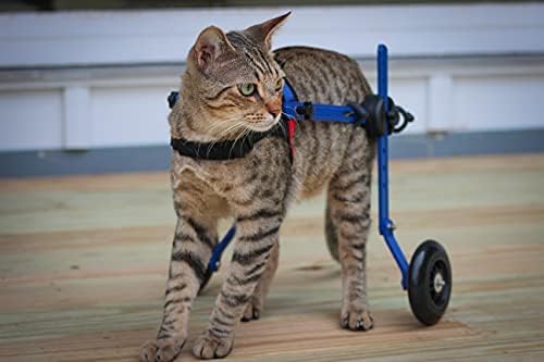 Walkin' Wheels Lightweight – for Small Cats 2 to 20 Pounds – Veterinarian Approved – Cat Wheelchair for Back Legs, for Cats 2-10 lbs, 6-8 inches Leg Height – Blue