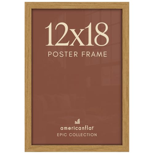 12x18 Poster Frame