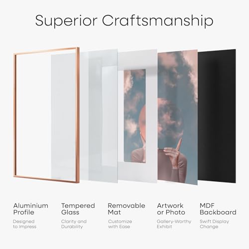 15x18 Rose Diploma Frame (3 Count)