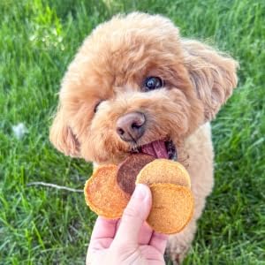 Farm To Pet - Puppy Packs 'N Snacks Dog Treat Starter Pack - Fish 4oz + 1 Chicken & 1 Beef & 1 Turkey Snack Pack - Single Ingredient Training Treats, All Natural, Lean for Small, Medium, Large Breeds