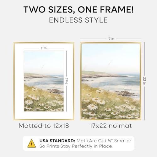 17x22 Gold Picture Frame