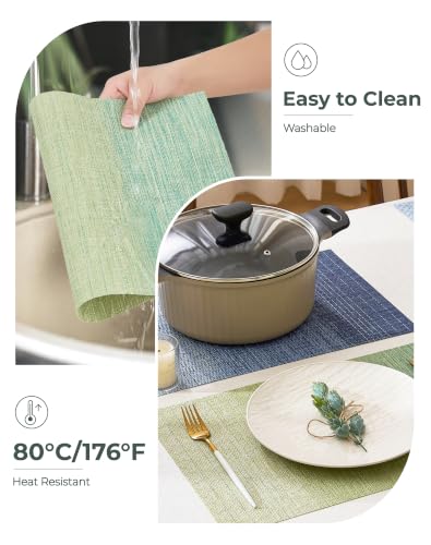 Gradient Green Woven Placemats Set of 4 (3.2 Count)