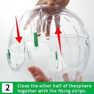 Hamster Exercise Ball, 7.9 Inch Syrian Hamster Ball, Transparent, Large Ball with Four entrances (Blue)