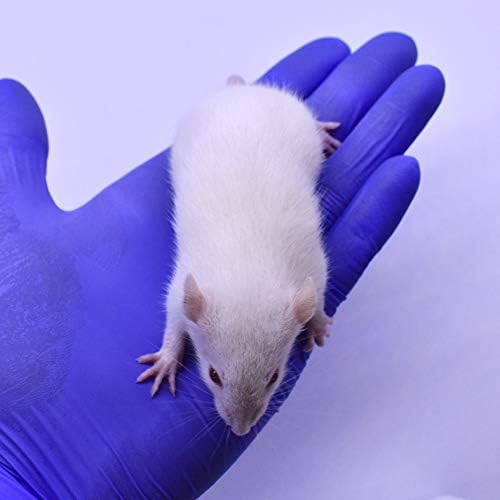 MiceDirect 20 Weanling Rats: Pack of Frozen Weanling Feeder Rats - Food for Corn Snakes, Ball Pythons, Lizards and Other Pet Reptiles - Freshest Snake Feed Supplies