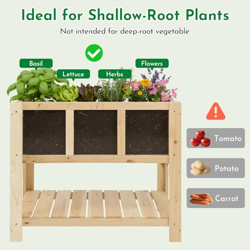 Raised Garden Bed with Transparent Acrylic Side Panels