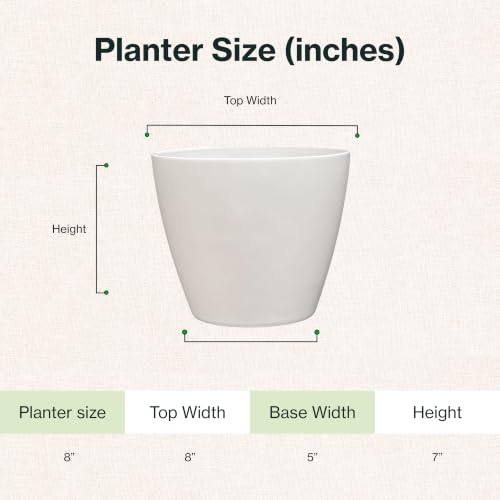 8" Vogue Planter in Stark White