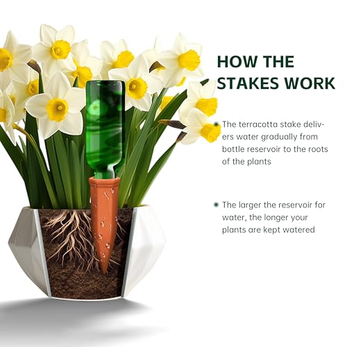 Large Terracotta Watering Spikes with Lids (8 Count)