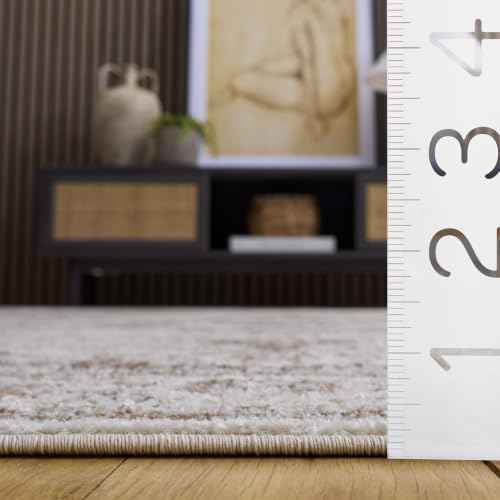 Evoke Area Rug 5'3"x7' (39.4 Sq Ft)