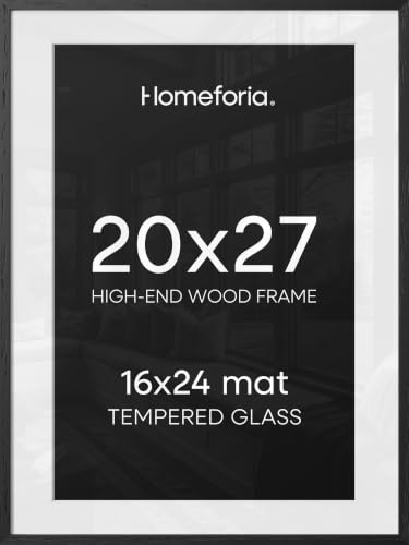 20x27 Black Oak Picture Frame (2 Count)