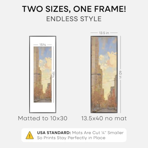 13.5x40 Black Picture Frame (2 Count)