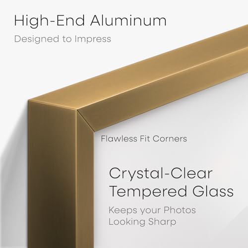 14x20 Bronze Diploma Frame