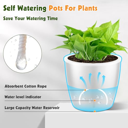 8 Pack 5 Inch Self Watering Pots (8 Count)