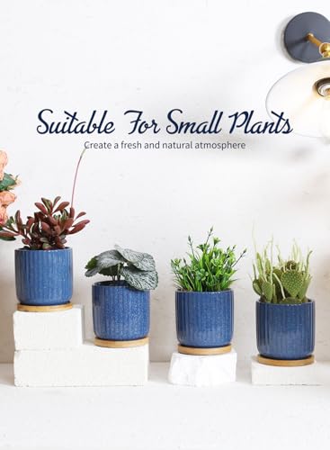 4 Inch Cylinder Ceramic Plant Pots with Trays (4 Count)