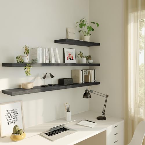 Floating Shelf (3 Count)
