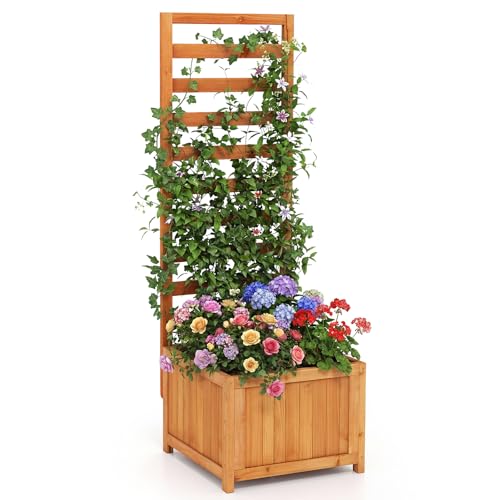 48" Raised Garden Bed with Trellis & Garden Box