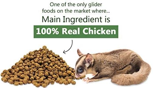 Exotic Nutrition Glider Essential 6 lb | Coconut Flavor | Zero Fillers