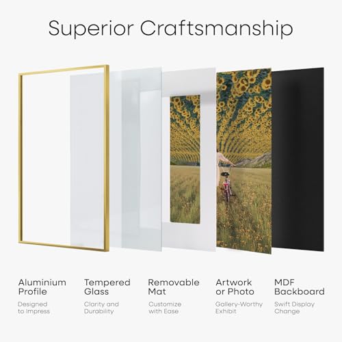 11x14 Gold Diploma Frame (2 Count)
