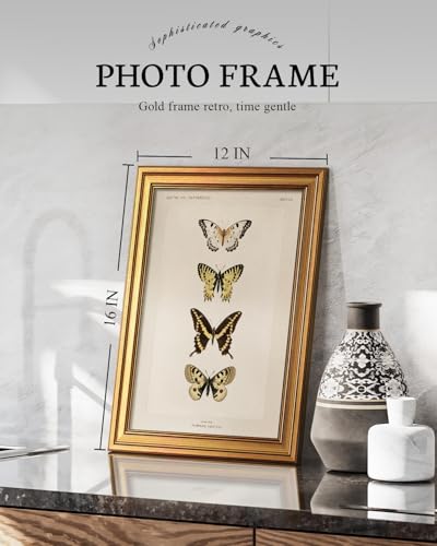 Vintage Gold Framed Butterfly Wall Art (4 Count)