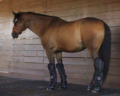 Dover Saddlery - Shipping Boot Set, Color: Black, Size: Horse