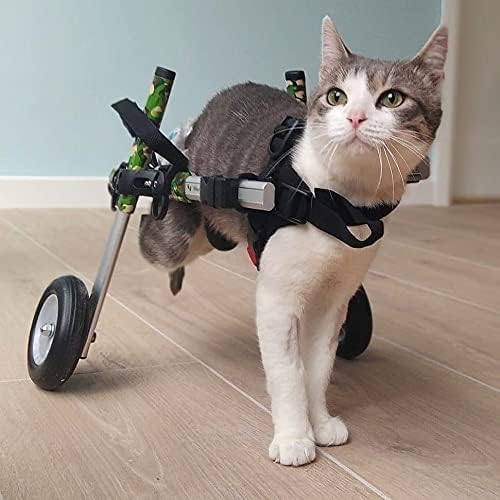 Walkin' Wheels Lightweight – for Small Cats 2 to 20 Pounds – Veterinarian Approved – Cat Wheelchair for Back Legs, for Cats 11-20 lbs, 9-13 inches Leg Height – Pink