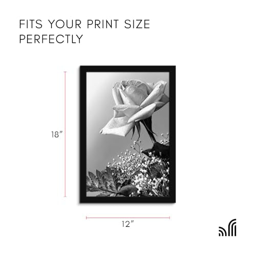 12x18 Poster Frame