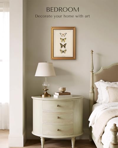 Vintage Gold Framed Butterfly Wall Art (4 Count)