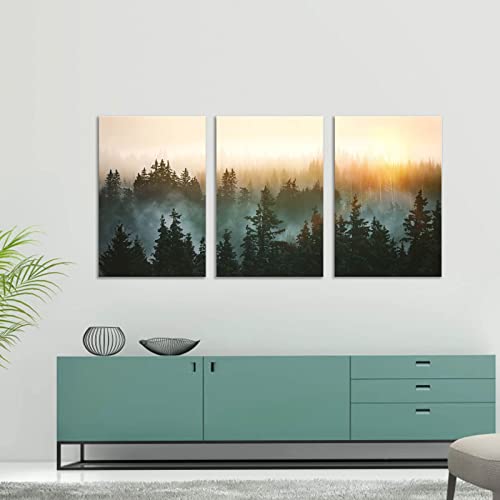 Forest Bathed in Sunlight Canvas Print Picture Painting Wall Art for Bedroom Living Room Framed 3 Piece Artwork Wall Decor for Bathroom Modern Room Plants Wall Decorations Size 16x24x3 Ready to Hang