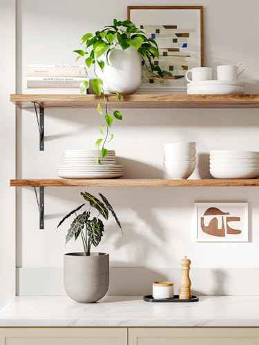 6 Inch Plant Pot
