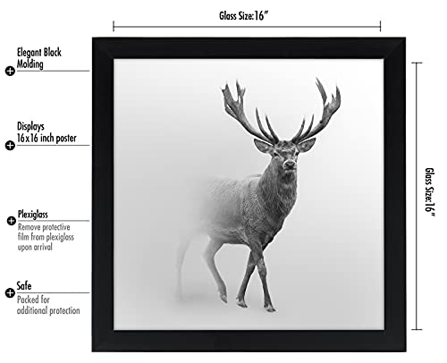 16x16 Picture Frame