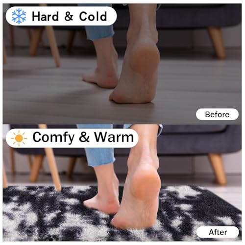 Rugs for Living Room