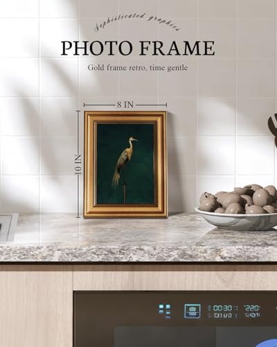 Vintage Gold Framed Wall Art for Living Room