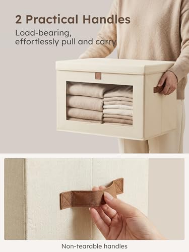 Large Closet Storage Organizer (2 Count)
