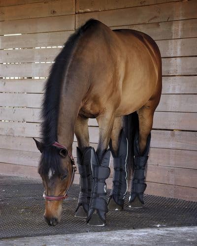 Dover Saddlery - Shipping Boot Set, Color: Black, Size: Horse