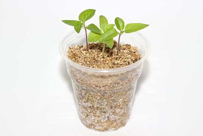 Experience Superior Plant Growth with Gardenera Half and Half Mix of Perlite and Vermiculite - Nature's Best for Optimal Nutrient Retention - 3 Quart