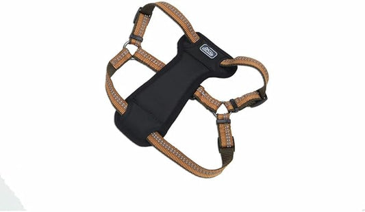 Coastal Pet K9 Explorer Reflective Adjustable Padded Dog Harness - Plush Chest Pad for Comfort - No-Pull Dog Harness for Small and Large Dogs - Campfire Orange - 5/8" x 12"-18", X-Small