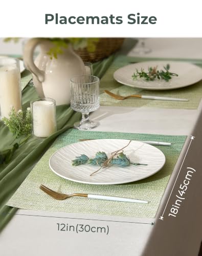 Gradient Green Woven Placemats Set of 12 (2.7 Count)